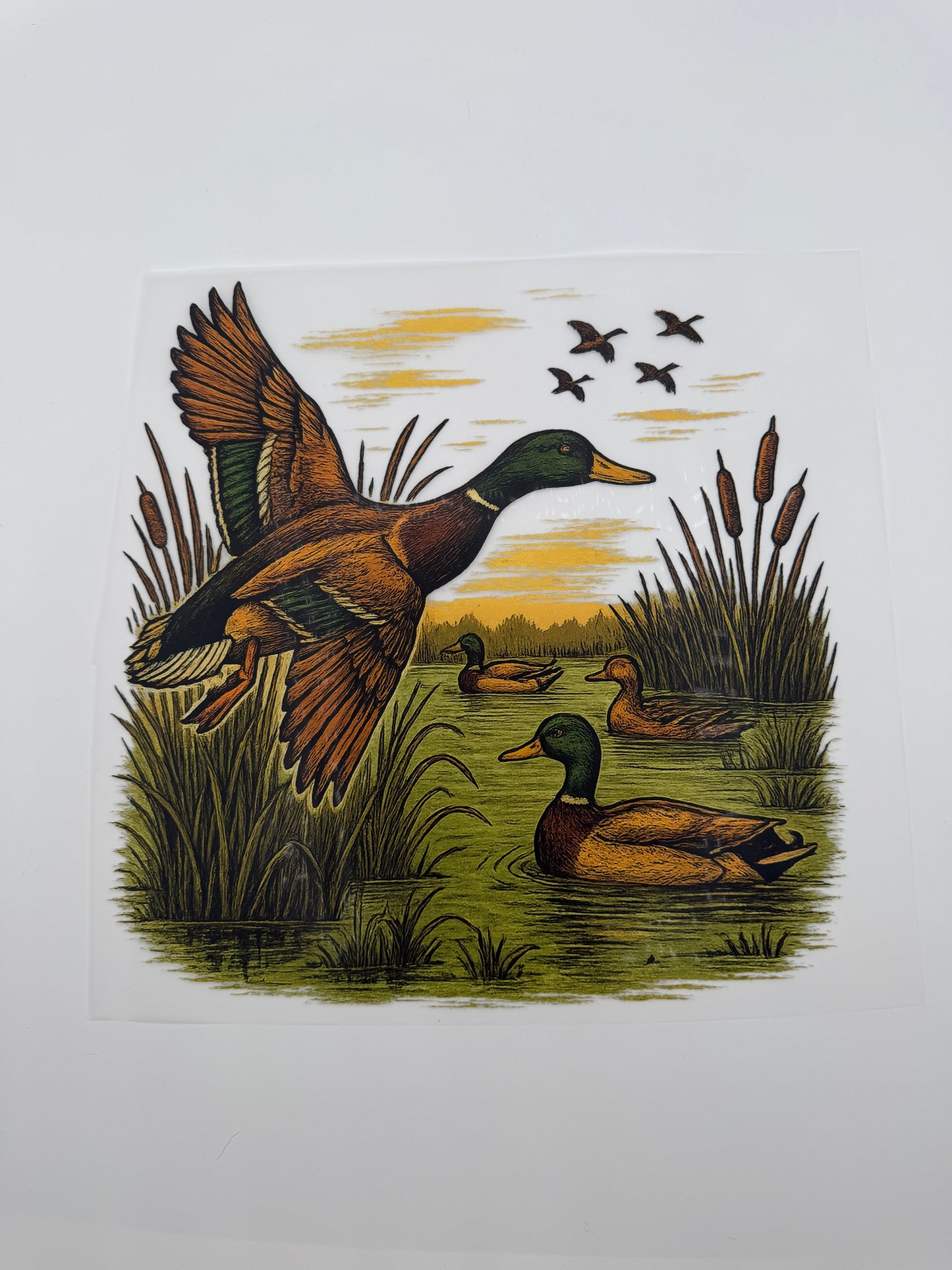 Flying Ducks Transfer